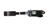 Fit For Mahindra Roxor Scorpio Accelerator Pedal – Genuine OEM 0317AAB00171N