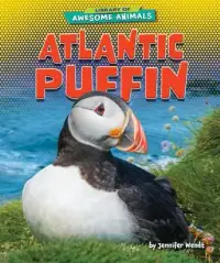 在飛比找博客來優惠-Atlantic Puffin