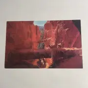 Bryce Canyon National Park Utah Natural Rock Bridges Postcard Color by McLean