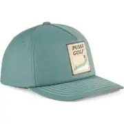 Puma Mens Landscape Tech Cap Snapback Golf Hat - 02528101 - Eucalyptus/Putty