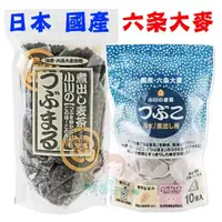 在飛比找蝦皮購物優惠-日本 小川產業 國產六條大麥 麥茶包 六条麥茶 零咖啡因 無