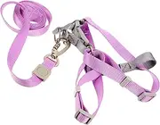 1Set Adjustable Harness and Leash Set Lightweight Pet Vest for Outdoor Walks Stylish Design for Puppies and Dogs