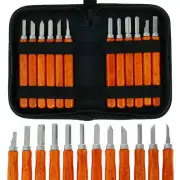 12Pcs Wood Carving Chisel Carpenter Tools Set Woodworking Whittling Cutter .