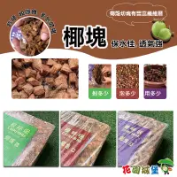 在飛比找蝦皮購物優惠-現貨 根呼吸 椰塊  椰磚 原裝壓縮包 5KG 鹿角蕨 觀葉