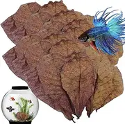 Aquarium Almond Leaves - Fish Almond Leaves, Betta Fish Leaves | Natural Shrimp Leaves Aquarium, PH Balance Water Conditioner for Aquarium, Turtle Tank, Fish Tank for Turtles, Shrimps, Catfish, Frog H