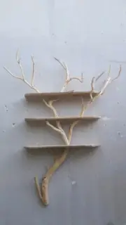 tree bookcase tree branch shelf bookshelf live edge tree bookshelf kids