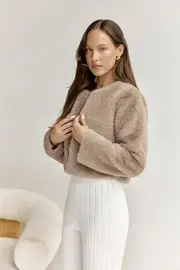 Day By Day Faux Fur Cropped Jacket Brown