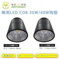 在飛比找蝦皮購物優惠-樂亮 LED 筒燈 高演色 商空適用 COB晶片 美國普瑞芯