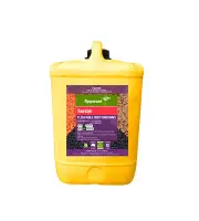 Apparent Suntan Flowable Seed Dressing 10 Litre Control Diseases Wheat Barley