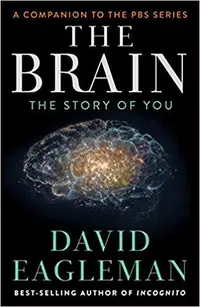 在飛比找誠品線上優惠-The Brain: The Story of You