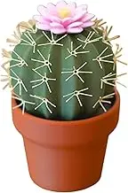 Cactus Salt and Pepper Shakers | Leak-Proof Condiment Dispensers | Desert-Themed Shaker | Cactus-Shaped Containers | Uniique Cactus Design for Kitchen, Restaurant, and Catering Use