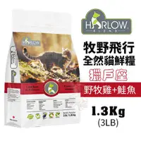 在飛比找蝦皮商城精選優惠-✨橘貓MISO✨HARLOW BLEND牧野飛行 獵戶座野牧