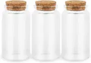 3PC100ML Empty Glass Jars with Cork Stoppers for DIY Art Crafts Projects Tools