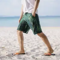 在飛比找momo購物網優惠-【SeasonsBikini】男款熱帶泳褲 -374(男款泳
