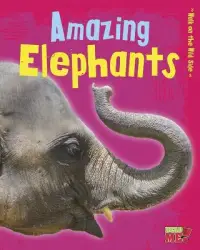 在飛比找博客來優惠-Amazing Elephants