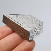 58g Muonionalusta meteorite slice R1839
