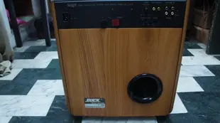 美國原裝進口 BUCK 音響 四聲道 12吋 300W 重低音喇叭 擴大機 揚聲器 T-300