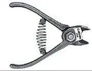 Scissors Professional Bellota 3506 for Pruning Oranges And With Blades Forged