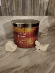 WAX MELTS Bath and Body Works Sunset In Maui *Free Sample*
