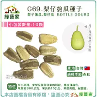 在飛比找蝦皮購物優惠-【綠藝家】G69.梨仔匏瓜種子10顆(梨子蒲瓜.梨仔瓜) 早