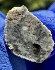meteorite: Bechar 006 Weight 0.958 Grams. Beautiful Lunar