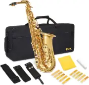 Alto Saxophone E Flat Brass Sax Beginners Kit, Mouthpiece, Neck Strap, C