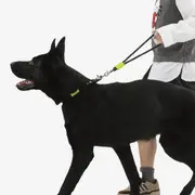 Maogou Blue Marshmallow Short Dog Leash Black