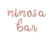 MIMOSA BAR Cursive Letter Balloon Banner - Baby Shower Party Supply Decorations