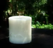 80hr BREATHE EASY Peppermint, Blue Gum, Lemons Clean Essential Oils OVAL CANDLE