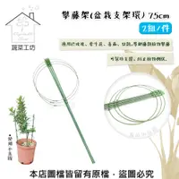 在飛比找PChome24h購物優惠-【蔬菜工坊】攀藤架(盆栽支架環)75公分 2組/件 爬藤架、