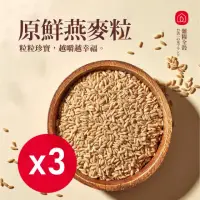 在飛比找momo購物網優惠-【西川米店】原鮮燕麥粒250gx3包
