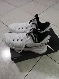 在飛比找Yahoo!奇摩拍賣優惠-NIKE LEBRON V EP XDR US12