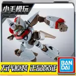 萬代魂 HI-METAL R ORGUSS 奧加斯 超時空世紀 成品 手辦