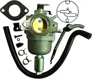 Carburetor for Briggs & Stratton 799727 Replaces 698620 690194 791886 499153 498061