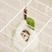 Pear Shaped Hamster Bed House Soft Plush Sugar Glider Hideout for