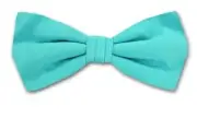 Boy's Aqua Solid Satin Pre-Tied Bowtie for Schools - Weddings- NWT