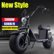 2000W 60KM/H Electric Scooter 60KM 18.5inch Tire Portable Foldable Electric Bike
