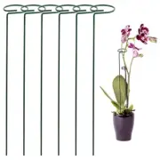 Versatile Support for Amaryllis Orchids and More Pack of 6 Metal Plant Stakes
