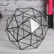 HG Elegant Geometric Flower Pot Glass Planter Plant Container Holder Landscape