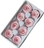 Grade A Preserved Real Rose Head, Eternal Rose, for Wedding Home Decor/Christmas Day Decor DIY Flower Materil Gift(Light Pink)