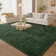 6x9 Feet Large Green Rug for Classroom, Ultra Soft Fluffy Furry Area Rugs for Living Room Bedroom Indoor Floor, Aesthetic Carpet for Kids Home Decor