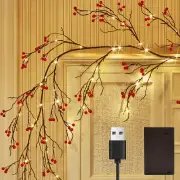 Lighted Red Berry Garland with Timer 120 LED 6FT Battery Operated USB Plug In,Li