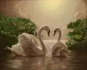 Chart Needlework DIY - Counted Cross Stitch Patterns -Two White Swans