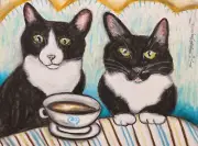 TUXEDO CAT Drinking Coffee Art Print 13x19 Signed Artist KSAMS