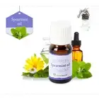 Spearmint Oil Car Vehicle Air Freshener Essential Diffuser Silver Cap Bottle