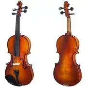 4/4 Full Size Solidwood Violin w Rosin, Case, Bow, String, Mute Shoulder Rest