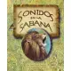 Sonidos en la sabana / Sounds of the Savannah