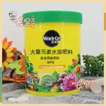 免運👍傢庭園藝水溶肥肥料 通用型花卉型 多肉綠植玫瑰月季