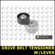 Belt Tensioner Arm Lever Alternator Fits Fiat PALIO PUNTO STILO II 1.9 5022CD
