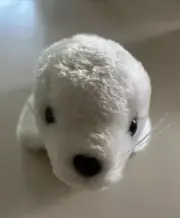 VTG Stuffed Seal Pup Plush R Dakin SF New 10” White SameDayHandling & Fast USPS